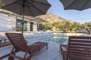 Olive Lounge House - 2