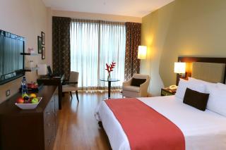 Hotel Ciudad de David - David - 3