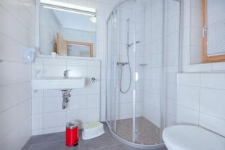 Grünerstein Chalet Jungbrunnen - 2