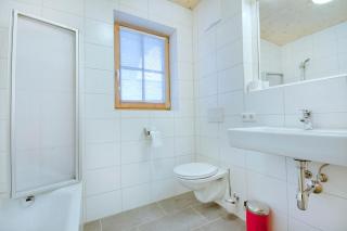 Grünerstein Chalet Jungbrunnen - 1