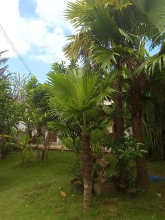 HENDRO'S SURF CAMP Pulau merah - Pasanggaran - 1