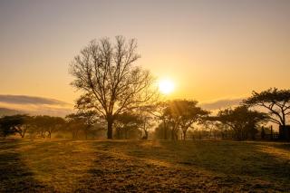 Rorkes Drift Lodge - Rorkeʼs Drift - 8