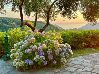 Incanto - Vernazza - 0