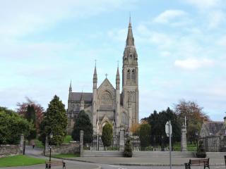 The Meadows Bed and Breakfast - Monaghan - 9