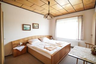 Pension Zum Goldenen Stern - 9