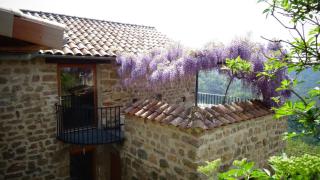 Gîte de Chapelèche Les Glycines - Gluiras - 9
