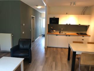 B&B Oostzomerland - Mijnsheerenland - 7
