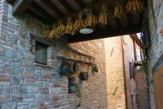 Agriturismo Le Selve - Comunanza - 3