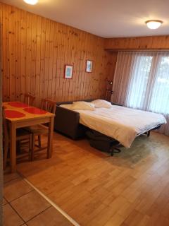 Hôtel Les Bains d'Ovronnaz - Ovronnaz - 6