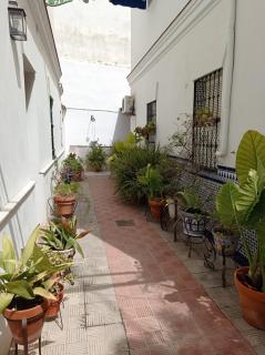 Carmona&House - Sevilla - 2