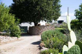 VILLA BEATRICE a place of peace in nature - Ceglie Messapica - 6