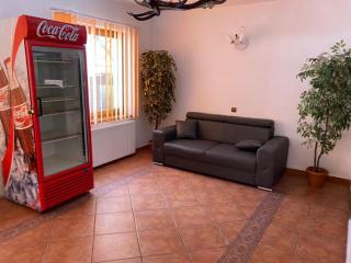 Vila Ianis Bran - Bran - 3