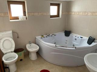 Vila Ianis Bran - Bran - 1