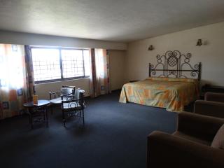 Hotel Lerma - Lerma de Villada - 3