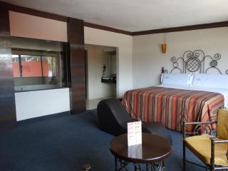 Hotel Lerma - Lerma de Villada - 2