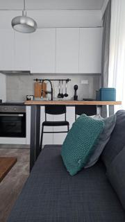 DOWN TOWN Luxurious Apartments (2) - 3