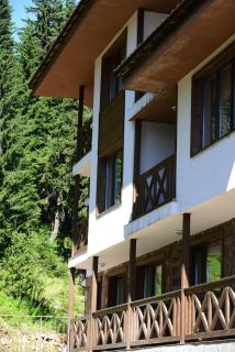 Hotel Mursalitsa by HMG - Pamporovo - 9