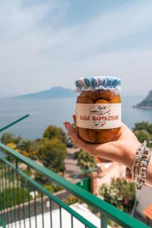 Amazing Sea&Vesuvio View Suite - Vico Equense - 8