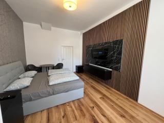 City Appartment 1 - Vienne - 0