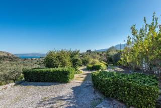 Olive Garden Vila - Exopoli - 9