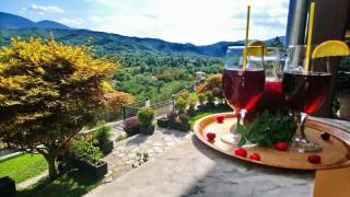 Philoxenia Hotel - 1