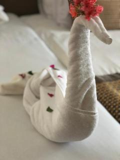 Villa KUBA luxury private pool 2 - Hurghada - 8