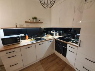 Apartament Number One NOVA WOZOWNIA - Leszno - 6