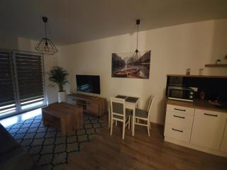 Apartament Number One NOVA WOZOWNIA - Leszno - 3