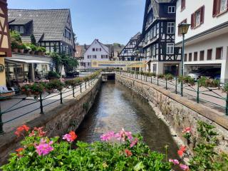 Ferienwohnung Altstadthaus - Oberkirch - 1