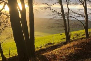 Manoir d'exception à Grandcourt (76) la Baronnie - 3