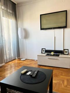 Stan na dan u centru, Inđija - Inđija - 7