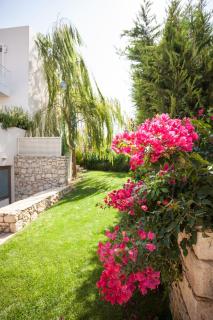 Salvia Villas - Skouloúfia - 5