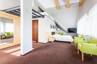 HOTEL KOZI GRÓD Pokoje i Domki na Kaszubach - 4