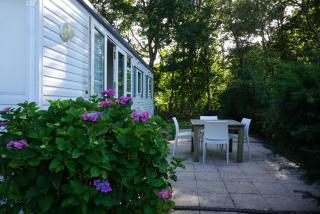 KD 883 - Vakantiepark Kijkduin - The Hague - 0