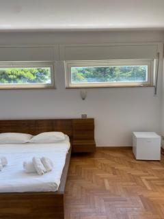 Domus - 1