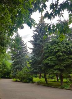 Vanadzor Armenia Hotel - Vanadzor - 4