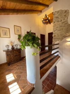 Cortijo Las Angosturas Montefrío - Montefrío - 3