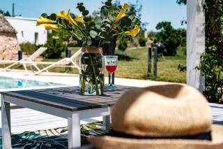 HelloAPULIA - Design Trulli Sampaolo with private pool - Gioia del Colle - 5