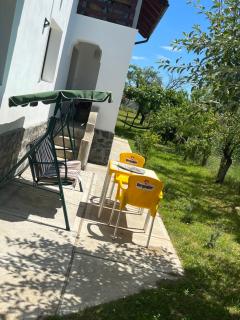 Pensiunea Alina - Baia de Fier - 2