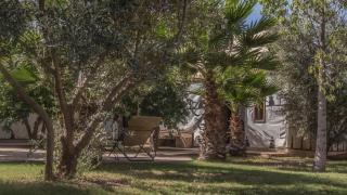 Manzil La Tortue - 6