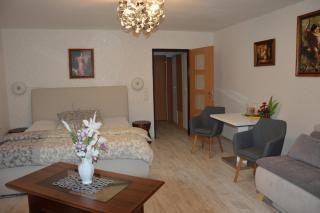Hotel Olga - Slavkov u Brna - 2