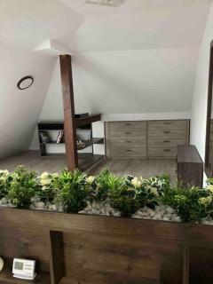 Samadhi Aparthotel - Miercurea-Ciuc - 6