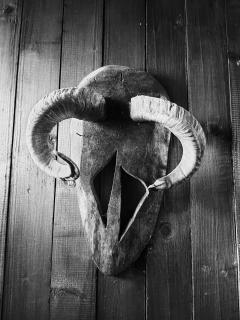 Ranch American - Târgovişte - 4