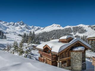 Chalet de Luxe 4 Chbres Courchevel 1850 Proche Pistes - FR-1-564-63 - 9
