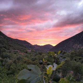 Dar Zohra Ourika Boutique Guesthouse, Atlas Mountains View, Ourika Valley - 4