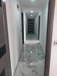 Orkide - Sheki - 3