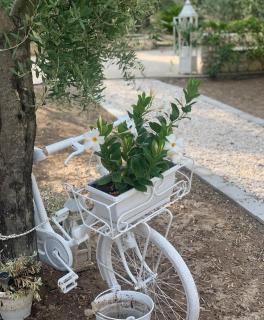 Villa Rosy - Vieste - 8
