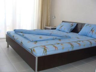 Villa Cvet Rooms - 1