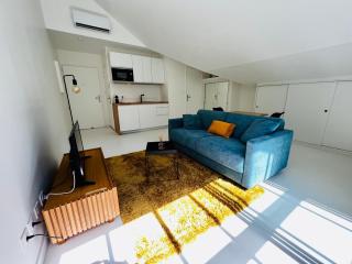 Appart. avec grande terrasse vue océan - 9