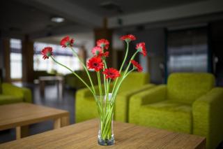 Hotel ***NAT Sarbinowo - Sarbinowo - 2